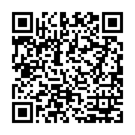 UPI QR Code